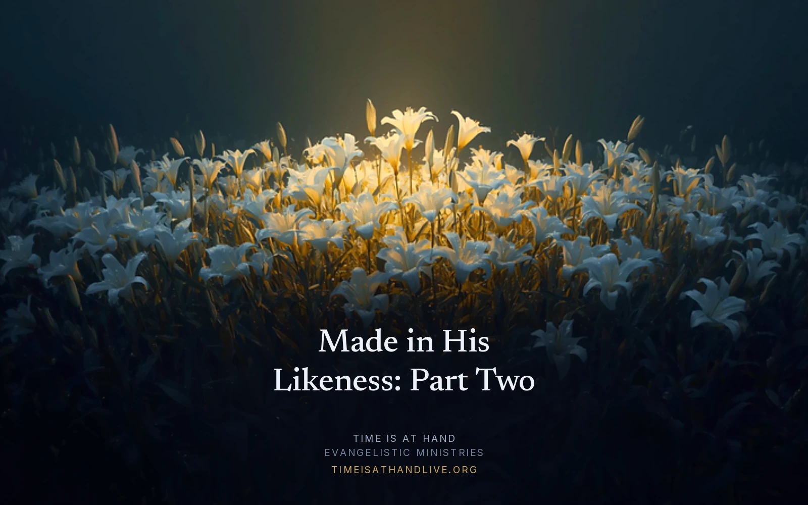 A painting of a field of white lilies glowing in a single shaft of dawn light against deep shadow, carrying the article title and the Time Is At Hand name and address